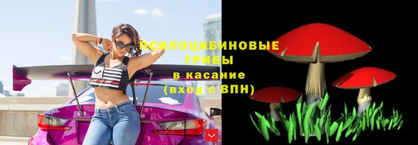гидропоника Красноперекопск