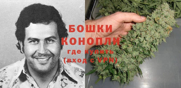 сатива Краснотурьинск