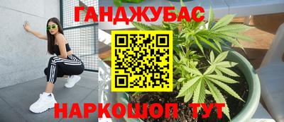 стафф Можга