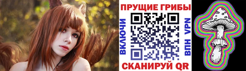 наркота  Саянск  darknet формула  Псилоцибиновые грибы мицелий 