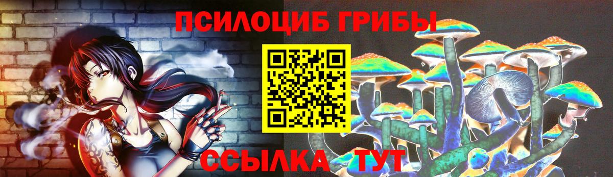 Псилоцибиновые грибы мицелий Саянск
