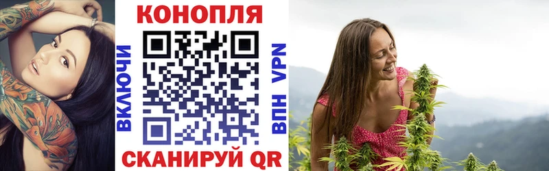 Шишки марихуана планчик  Саянск 